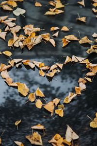 Превью обои листва, осень, сердце, сухие, опавшие