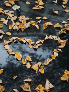 Превью обои листва, осень, сердце, сухие, опавшие