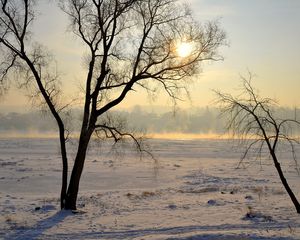 Превью обои литва, каунас, деревья, снег, дымка, поляна, свет