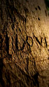 Превью обои любовь, надпись, дерево, деревянный