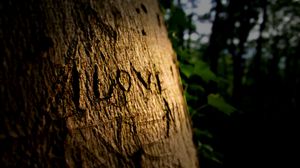 Превью обои любовь, надпись, дерево, деревянный