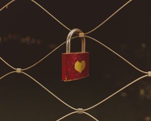 Превью обои любовь, сердце, замок, сетка