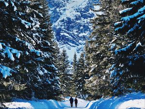 Превью обои люди, зима, горы, лес, снег