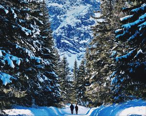 Превью обои люди, зима, горы, лес, снег