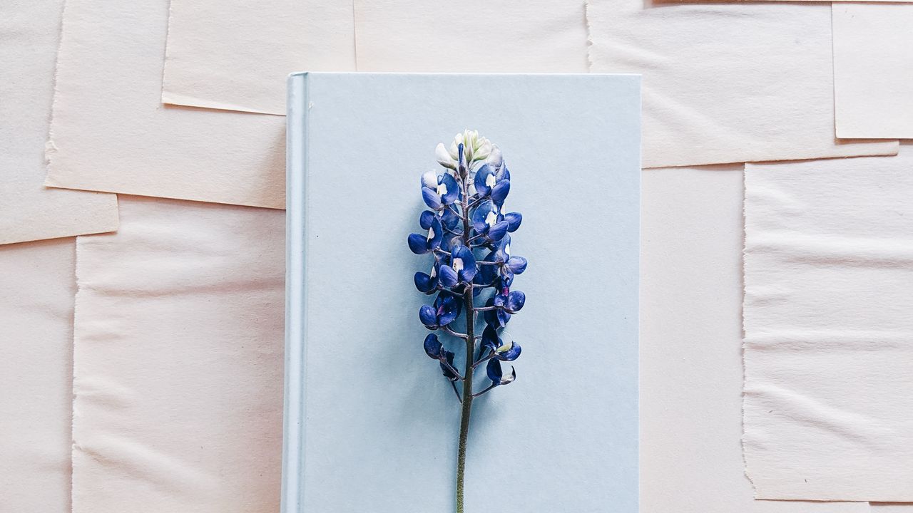 Обои люпин, цветок, книга, бумага