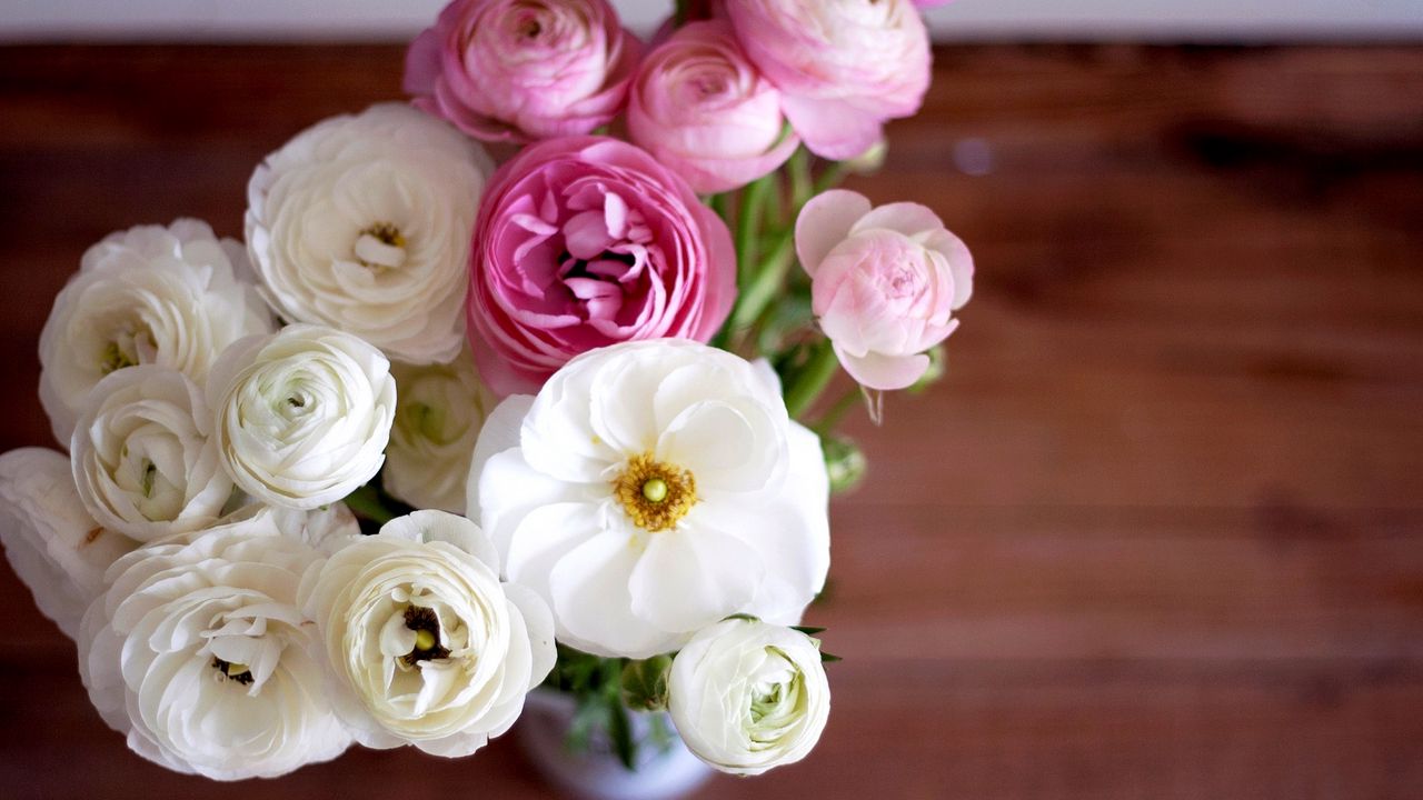 Обои лютики, ranunculus, букет, цветы, белые, розовые, бутоны, лепестки, ваза