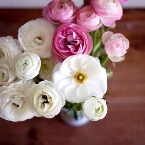 Превью обои лютики, ranunculus, букет, цветы, белые, розовые, бутоны, лепестки, ваза