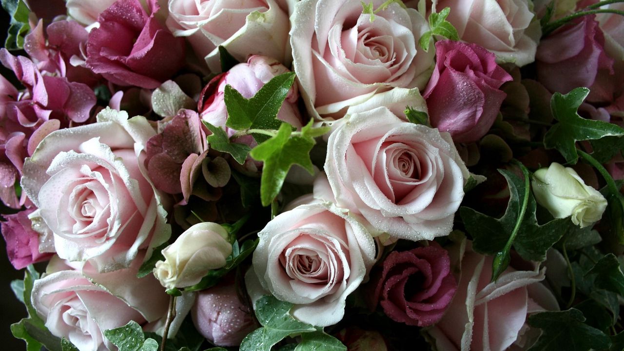 Обои лизиантус рассела, розы, цветы, букет, капли, свежесть, листья
