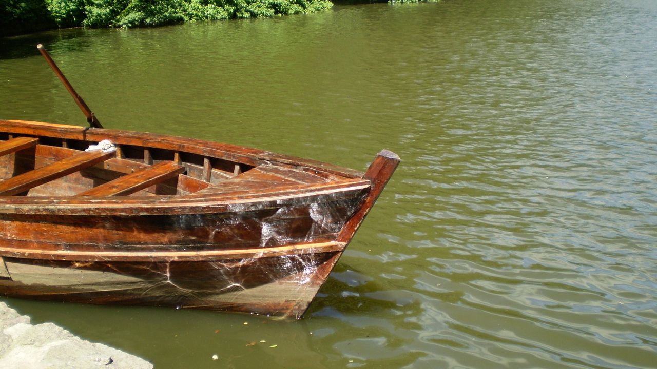 Обои лодка, берег, весла, вода, отблески, солнечно