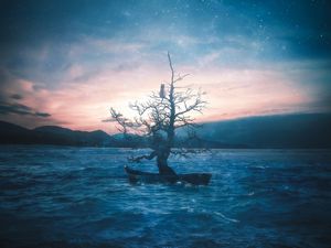 Превью обои лодка, дерево, кот, луна