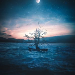 Превью обои лодка, дерево, кот, луна