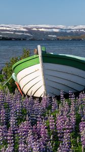 Превью обои лодка, люпин, цветы, озеро