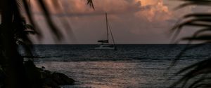 Превью обои лодка, море, пальмы, ветки, сумерки