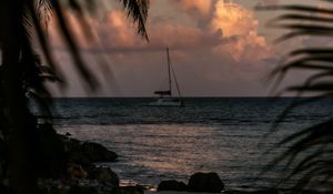 Превью обои лодка, море, пальмы, ветки, сумерки
