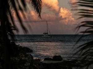 Превью обои лодка, море, пальмы, ветки, сумерки