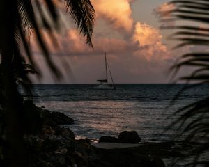 Превью обои лодка, море, пальмы, ветки, сумерки