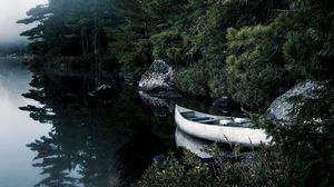 Превью обои лодка, озеро, ель, ветки, деревья