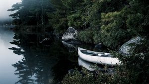 Превью обои лодка, озеро, ель, ветки, деревья