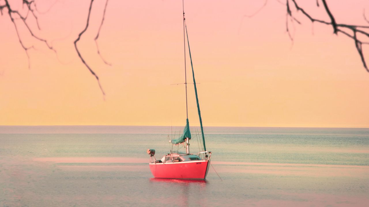 Обои лодка, парусник, море, ветки, горизонт