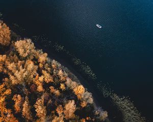 Превью обои лодка, побережье, вид сверху, деревья