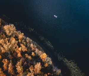 Превью обои лодка, побережье, вид сверху, деревья