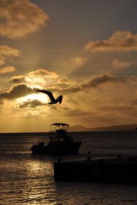 Превью обои лодка, птица, силуэт, море, сумерки, темный