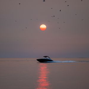 Превью обои лодка, солнце, закат, блики, птицы