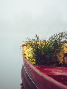 Превью обои лодка, цветы, туман, нежность, минимализм