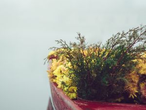 Превью обои лодка, цветы, туман, нежность, минимализм