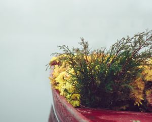 Превью обои лодка, цветы, туман, нежность, минимализм