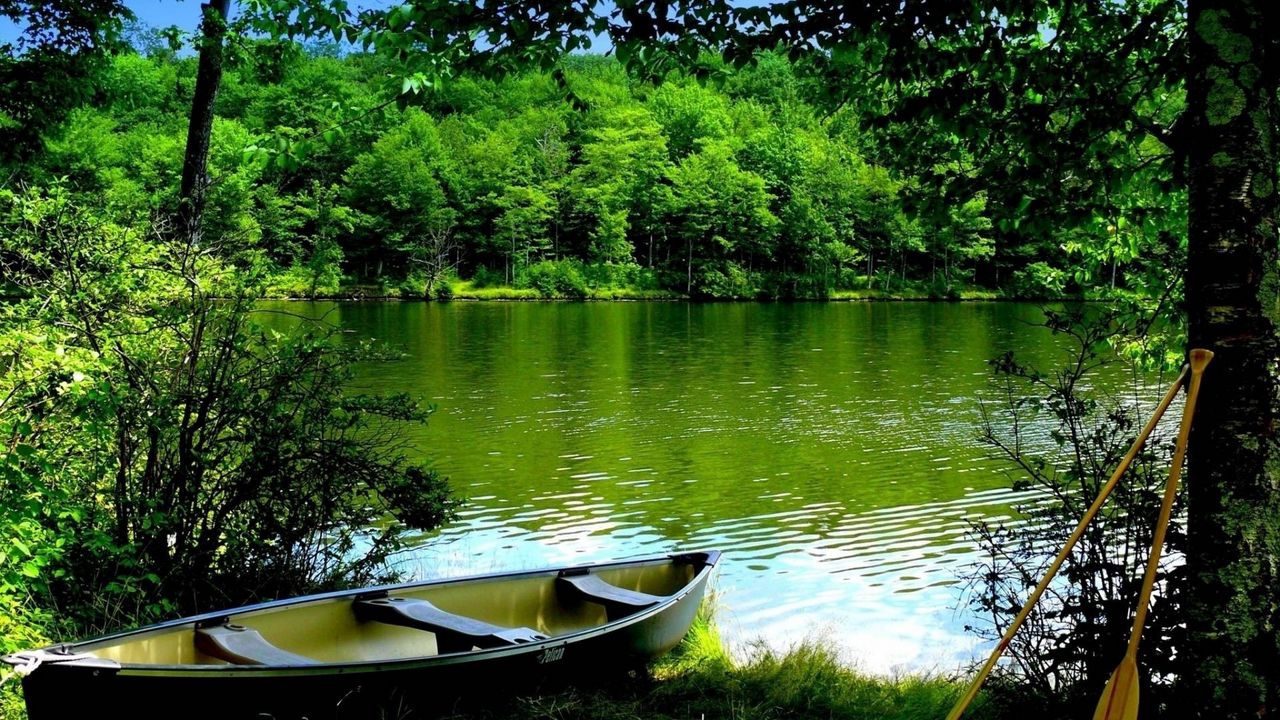 Обои лодка, вода, деревья, весла