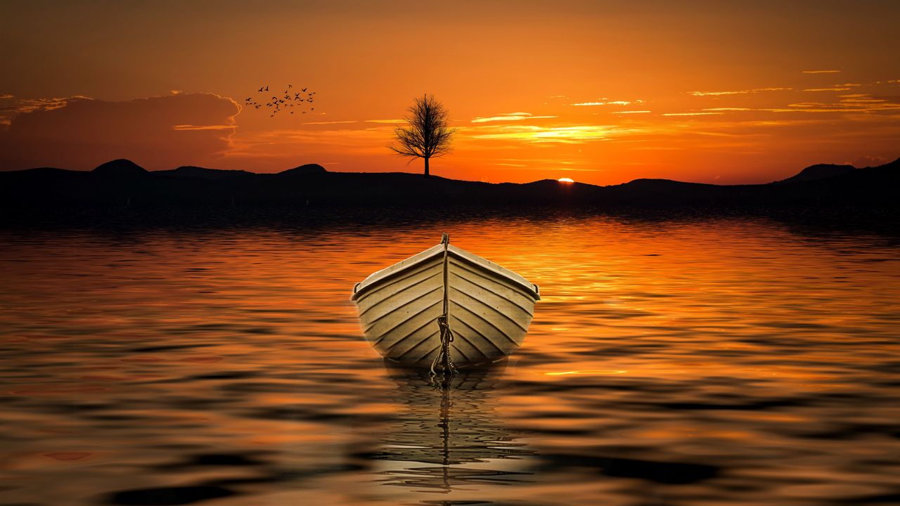 Обои лодка, закат, горизонт, озеро, дерево
