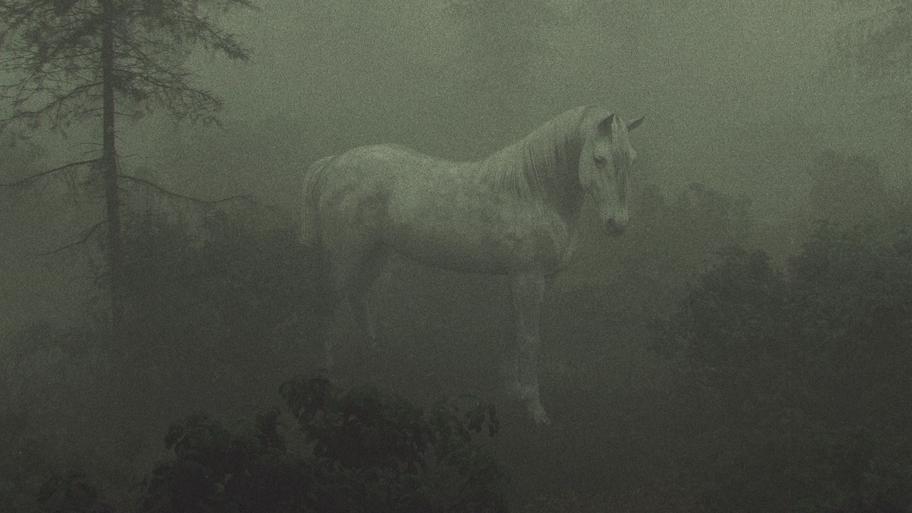 Обои лошадь, деревья, туман, арт