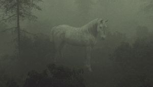 Превью обои лошадь, деревья, туман, арт
