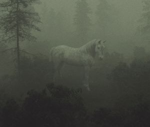 Превью обои лошадь, деревья, туман, арт