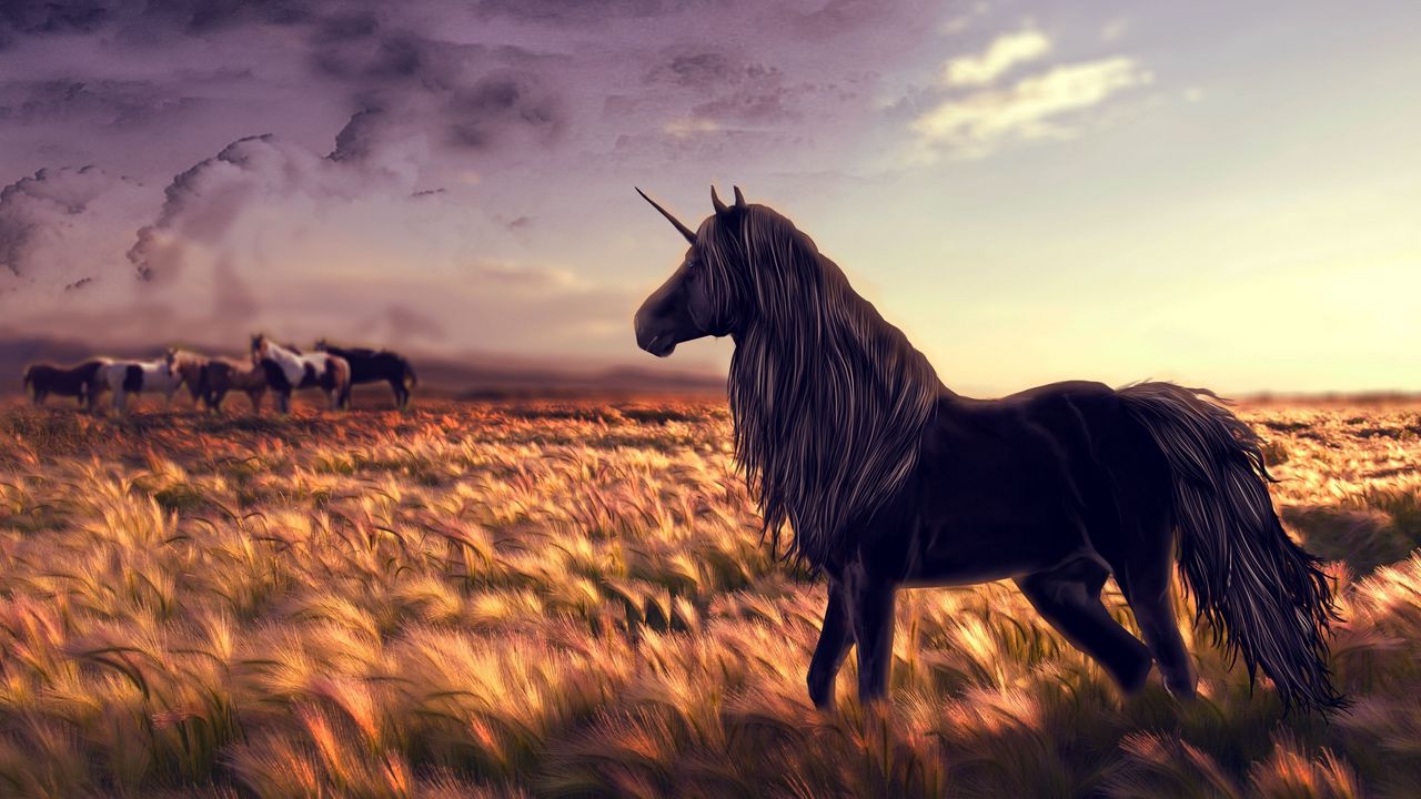 Обои лошадь, единорог, поле, арт, трава, ветер