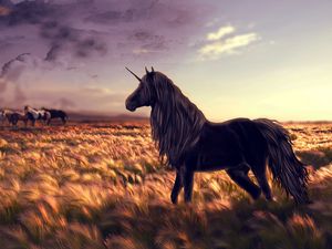 Превью обои лошадь, единорог, поле, арт, трава, ветер