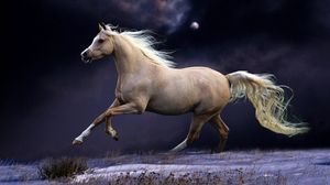 Лошадь — картинки, рисунки и фото для детей