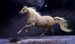 Превью обои лошадь, грива, бег, красивый, ночь, небо