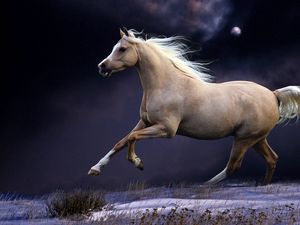 Превью обои лошадь, грива, бег, красивый, ночь, небо