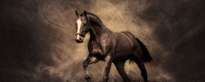 Превью обои лошадь, конь, тень, дым, пыль, окрас