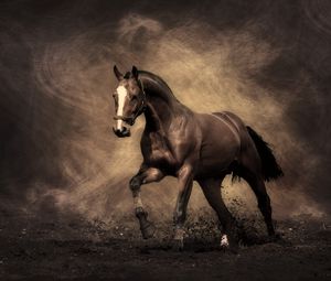 Превью обои лошадь, конь, тень, дым, пыль, окрас