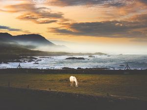 Превью обои лошадь, луг, море, горы