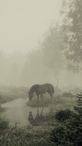 Превью обои лошадь, пруд, туман, деревья, арт
