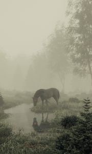 Превью обои лошадь, пруд, туман, деревья, арт