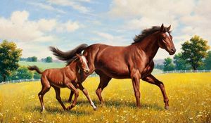 Превью обои лошадь, жеребец, трава, поляна, бег