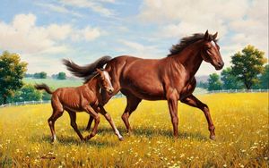 Превью обои лошадь, жеребец, трава, поляна, бег