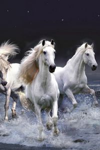 Превью обои лошади, бег, небо, волны