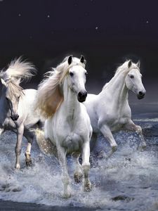 Превью обои лошади, бег, небо, волны