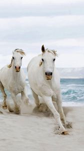 Превью обои лошади, бег, песок, табун